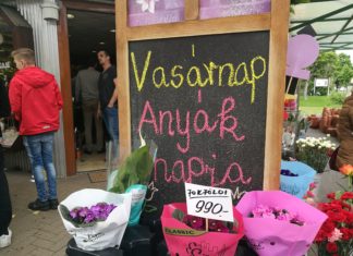 Sturm auf alle ungarischen Blumengeschäfte heute!