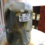 Ungarische Salzgurken – Foto: Flying Media Hungary