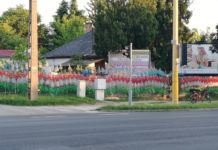 Sammler baut ungarischen Flaschenzaun in Szekésfehérvár