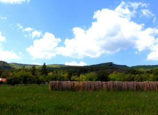 Schlechte Luft: Risiken für die Gesundheit