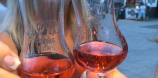 Was macht eigentlich einen idealen ungarischen Pálinka aus? (Pálinka-Umfrage)