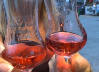 Hochprozentig! Der ungarische Pálinka hält was er verspricht