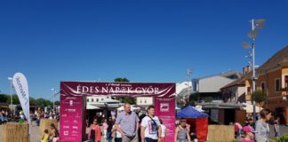 DAS war ein süßes Event in Györ!