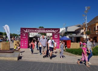 DAS war ein süßes Event in Györ!