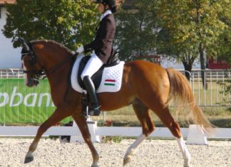 Große Namen beim Dressur World Cup Wertungsturnier in Mariakalnok