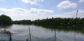 Angeln in Ungarn – Bitte nur mit Angelschein!