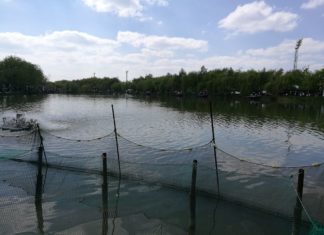 Angeln in Ungarn – Bitte nur mit Angelschein!