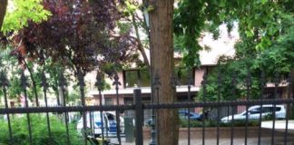 Wildschweinjagd durch Budapest! LIVEVIDEO!