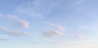 Das Wetter! Probleme bei der Schilfernte