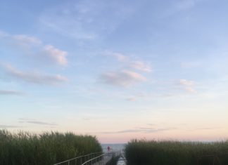 Das Wetter! Probleme bei der Schilfernte