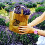 19451917_1513871168636442_438339707_o