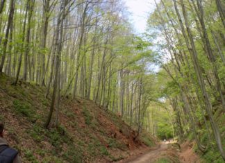 Wie man der Zeckengefahr wirksam begegnen kann
