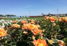 Waren sie auch nett am Weltnettigkeitstag?