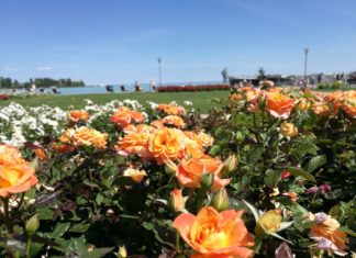 Osterveranstaltungen 2019 in Balatonfüred