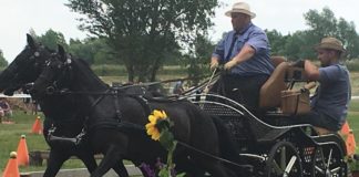 Impressionen vom Fahrturnier in Börcs / Ein- und Zweispänner am Start!