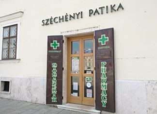 Grippesaison in Ungarn hat begonnen