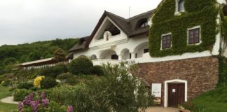 Márga Bisztró in Csopak – Spektakulärer Ausblick und Gutes aus der Küche