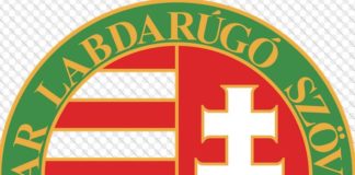 Ungarns Fußball-Nationaltrainer Storck bleibt!