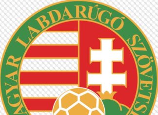 Ungarns Fußball-Nationaltrainer Storck bleibt!