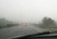 Verkehrsbehinderungen! Fahrbahndecke auf der M1 Autobahn wird sarniert