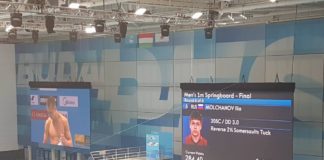 Schwimm-WM Ungarn: Synchronspringen Qualifikationen und Finale heute