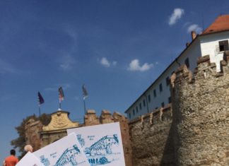 Ungarische Kulturgüter dies- und jenseits der Grenze werden renoviert