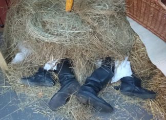 Ungarische Märkte: Was geht denn da im Heu ab?