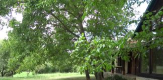 Gyűrűfű – Öko-Leben in der wunderschönen Hügellandschaft Zselic