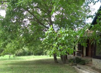 Gyűrűfű – Öko-Leben in der wunderschönen Hügellandschaft Zselic