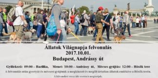 Welttierschutztag in Budapest