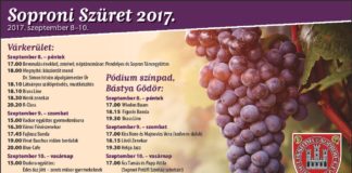 Wochenend-Tipp: Weinfestival in Sopron