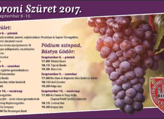 Wochenend-Tipp: Weinfestival in Sopron
