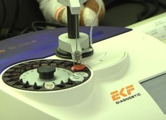 Allergien – Ambrosiapollen bis Mitte September in Ungarn unterwegs!