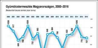 Obstbau in Ungarn sinkt