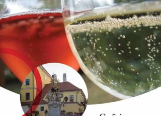 Fröccs-Tage in Győr