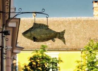 Fisch-Tage in Tiszafüred