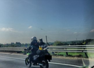 Hund auf Motorrad? Viel Wind um die Schnauze auf Ungarns Autobahn!