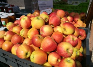 Herbstzeit = Vitaminzeit!