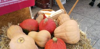 Kürbisfestival im Komitat Vas