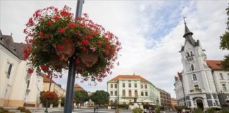Kaposvár gewinnt Sonderpreis für schönsten Blumenplatz