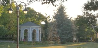 Moskitoschutz am Balaton nicht vergessen! Große Mückenschwärme unterwegs