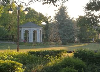 Moskitoschutz am Balaton nicht vergessen! Große Mückenschwärme unterwegs