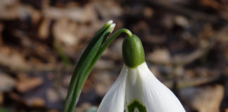 Wetter in Ungarn: Neuer Temperaturrekord