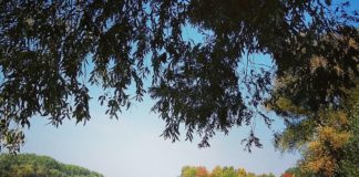 Herbstspaziergang in Győr