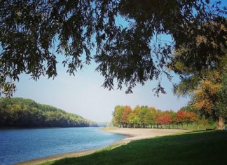 Herbstspaziergang in Győr