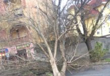 Unwetterwarnung! Sturm rast jetzt über Ungarn