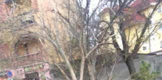 Unwetterwarnung! Sturm rast jetzt über Ungarn