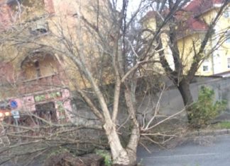 Unwetterwarnung! Sturm rast jetzt über Ungarn