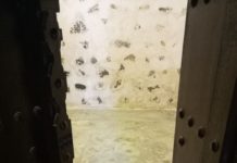 Der Maler Albrecht Dürer stammt aus Ungarn – hätten Sie‘s gewusst?