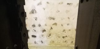 Der Maler Albrecht Dürer stammt aus Ungarn – hätten Sie‘s gewusst?